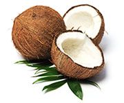 by-cosmetics Cocos Nucifera Shell